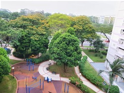 Blk 538 Ang Mo Kio Avenue 5 (Ang Mo Kio), HDB 4 Rooms #169542712